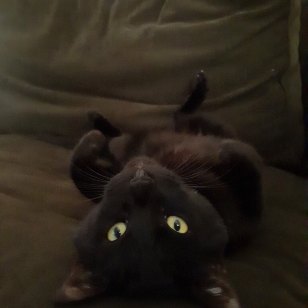 Meet your Posher, Ransom